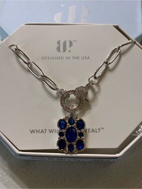 Silver-Tone Necklace with Blue Crystal Paw Charm
